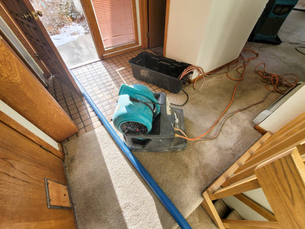Best Sewage cleanup and water damage restoration  in West Union, OH