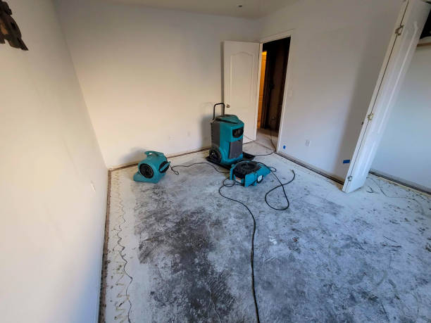 Best Carpet water damage restoration  in West Union, OH