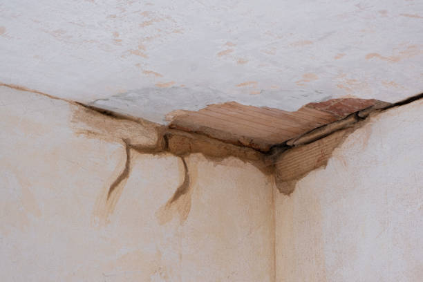 Best Water damage restoration process  in West Union, OH