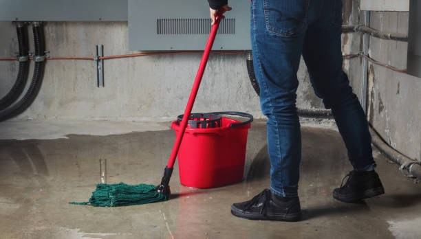 Best Water damage restoration near me  in West Union, OH