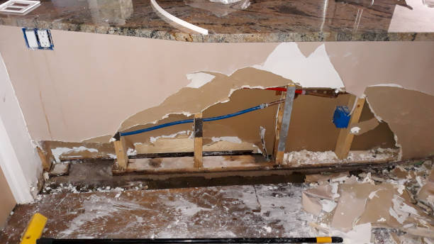 Best 24/7 water damage repair  in West Union, OH