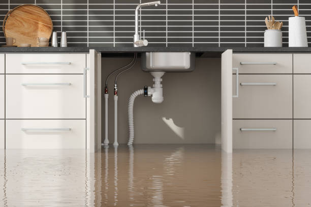  West Union, OH Water damage restoration Pros