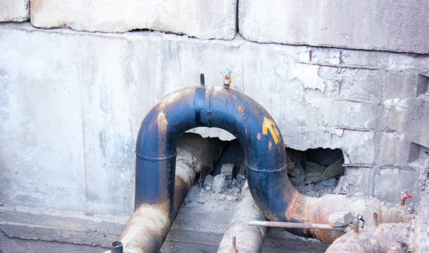 Best Local water damage restoration  in West Union, OH