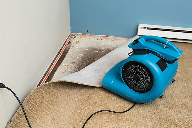 Best Flooded house restoration  in West Union, OH